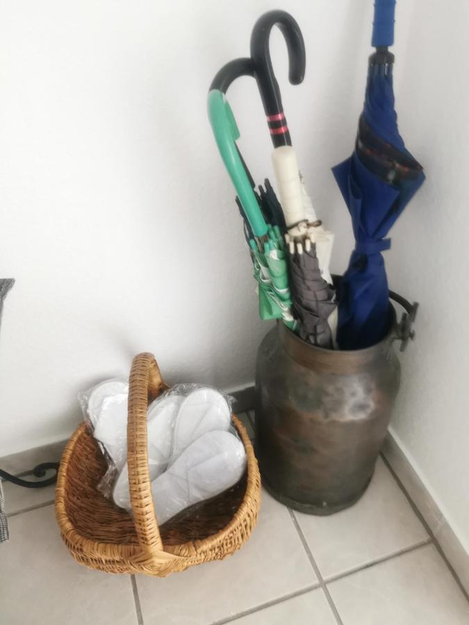 Schoene 3-Zimmer Erdgeschosswohnung Am Bergpark,Unesco,Therme,Train, Wilhelmshoeher Allee 329 Kassel Zewnętrze zdjęcie