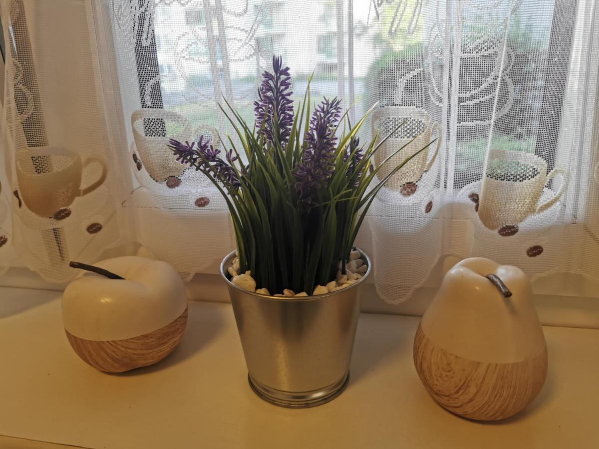 Schoene 3-Zimmer Erdgeschosswohnung Am Bergpark,Unesco,Therme,Train, Wilhelmshoeher Allee 329 Kassel Zewnętrze zdjęcie